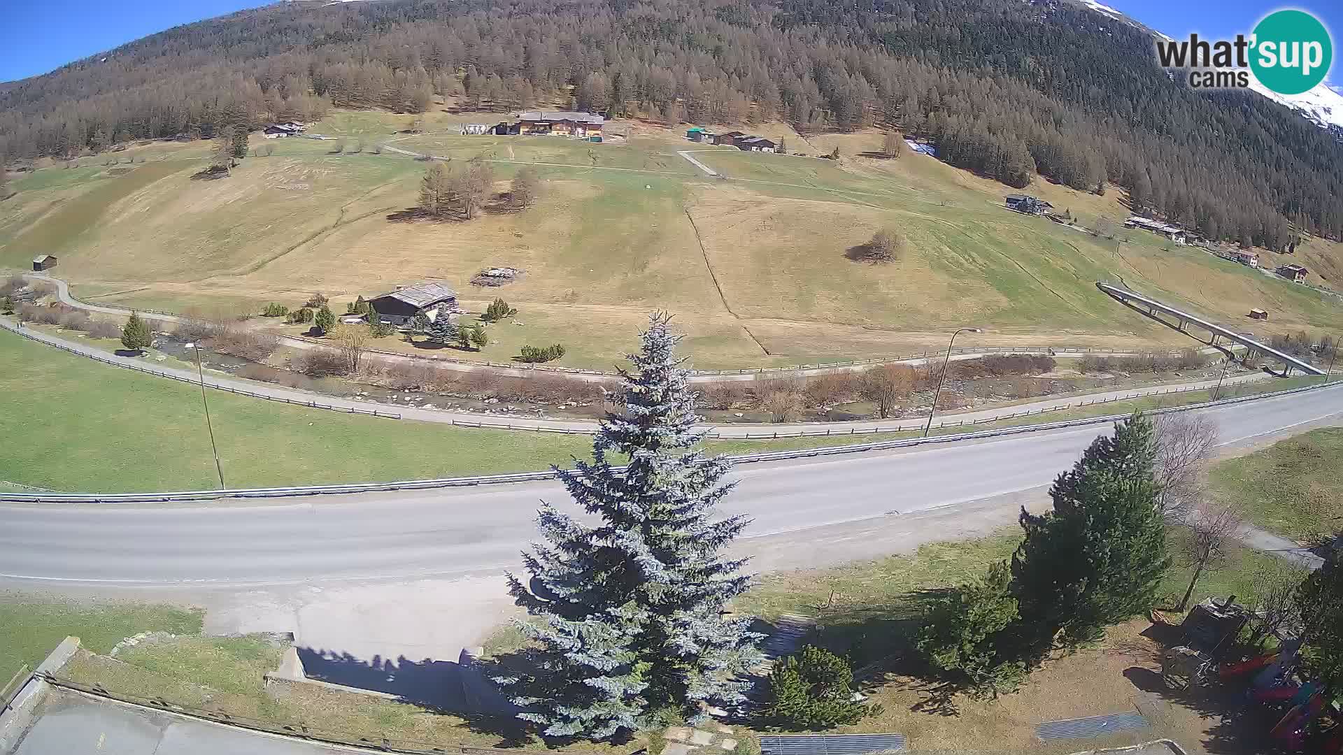 Livigno webcam LIVE Hotel Primula