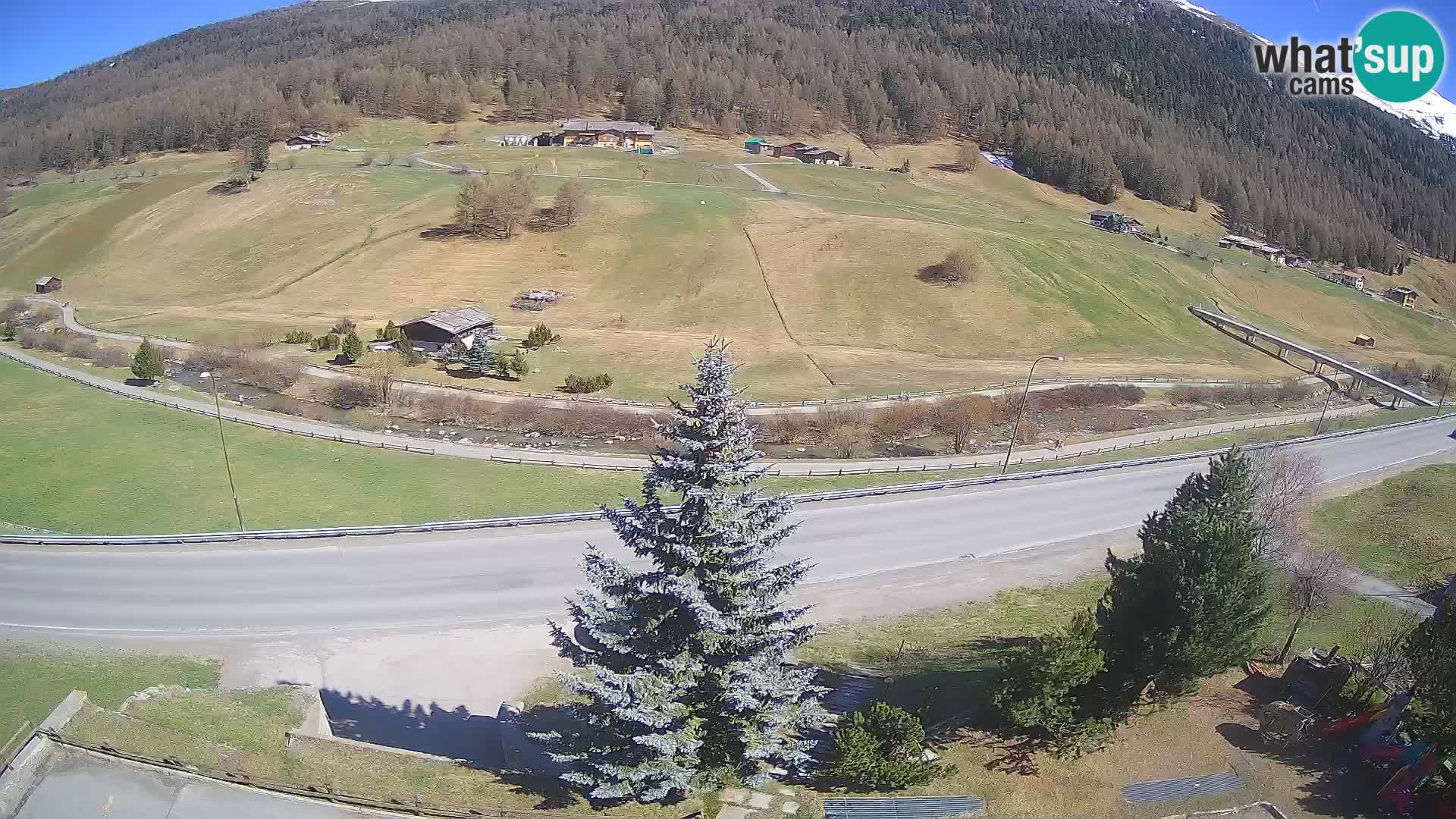 Livigno webcam LIVE Hotel Primula