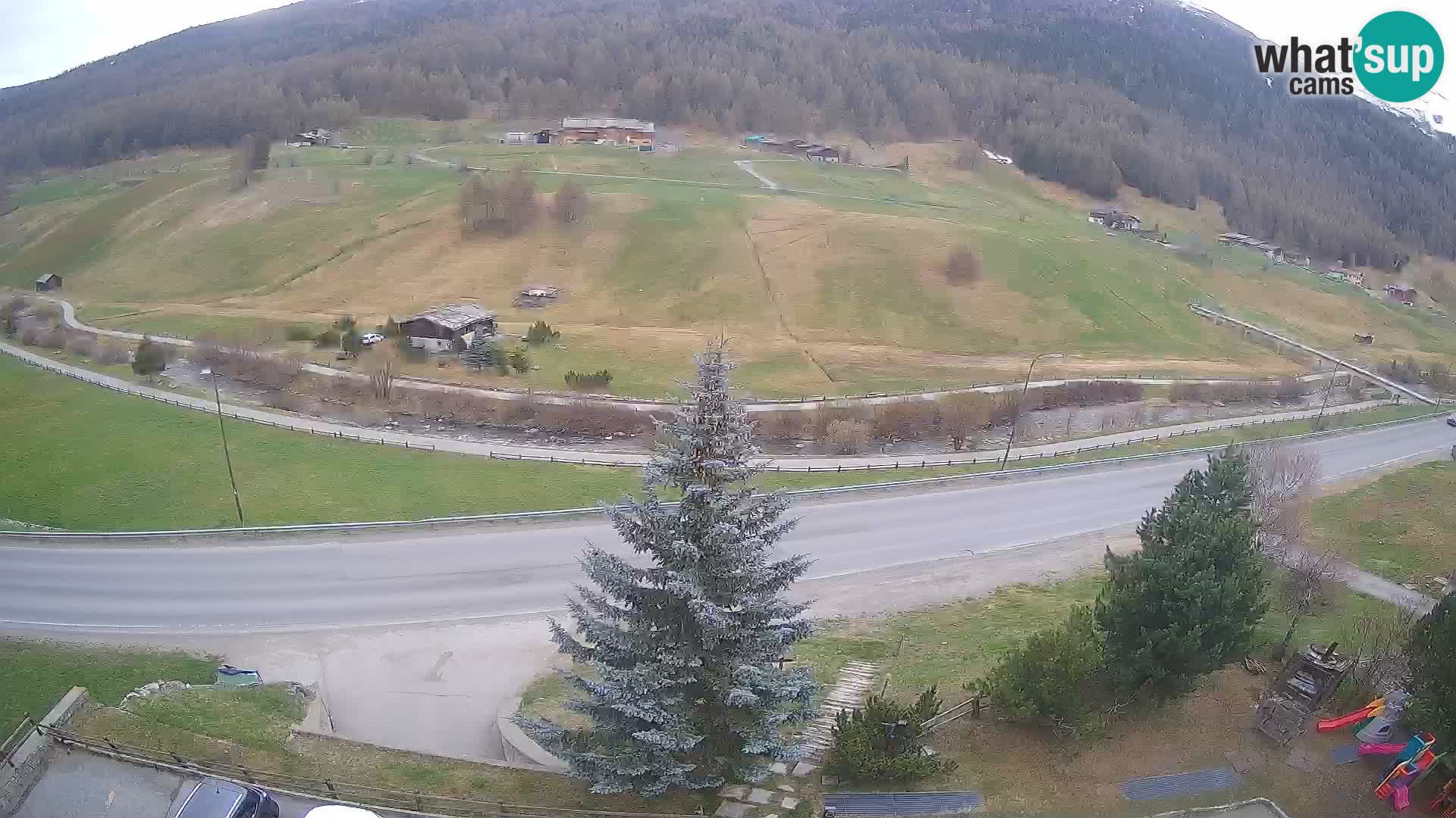 Livigno Cam Hotel Primula | Livigno smučišče