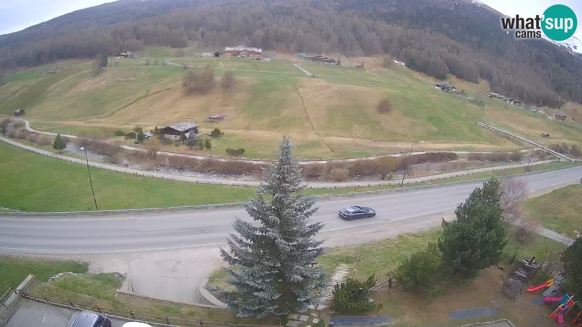 Livigno Cam Hotel Primula | Livigno smučišče