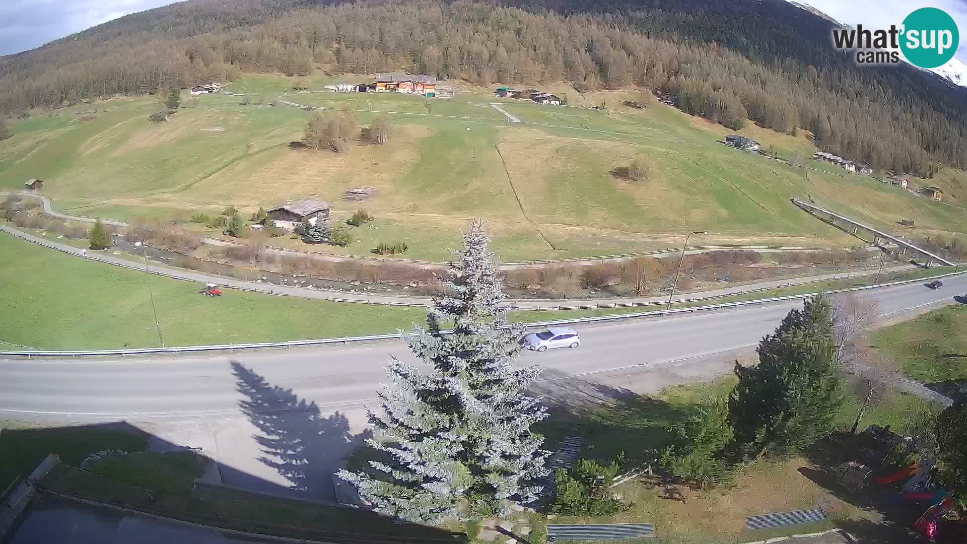 Livigno Cam Hotel Primula | Livigno smučišče