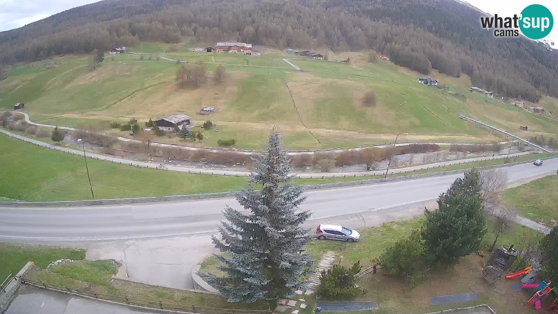 Livigno Cam Hotel Primula | Livigno smučišče
