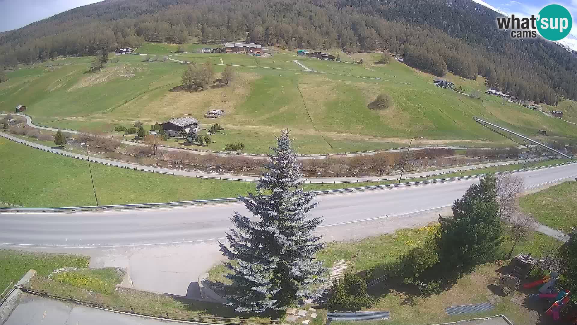 Webcam Livigno Hotel Primula