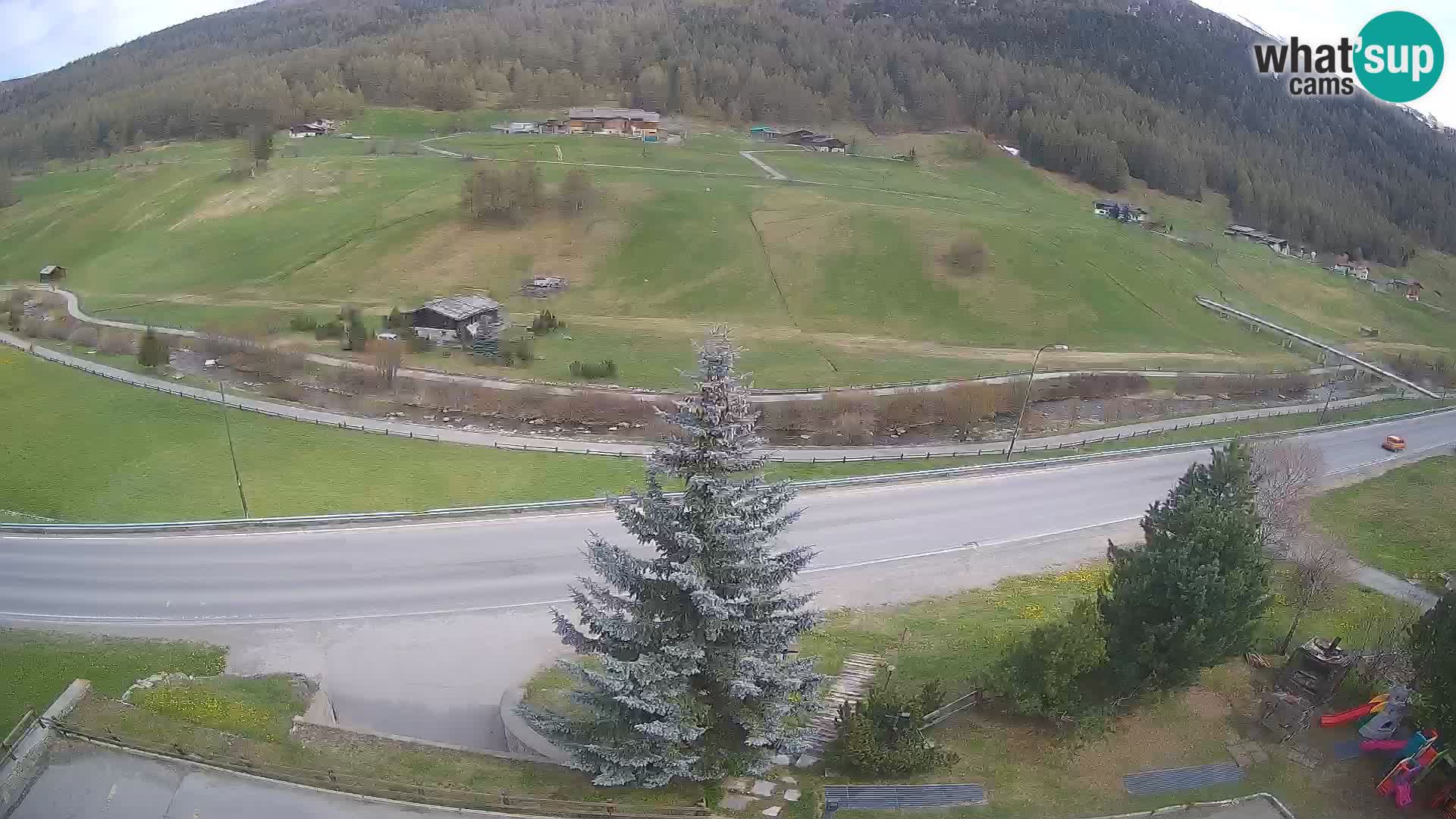 Livigno Cam Hotel Primula | Livigno smučišče