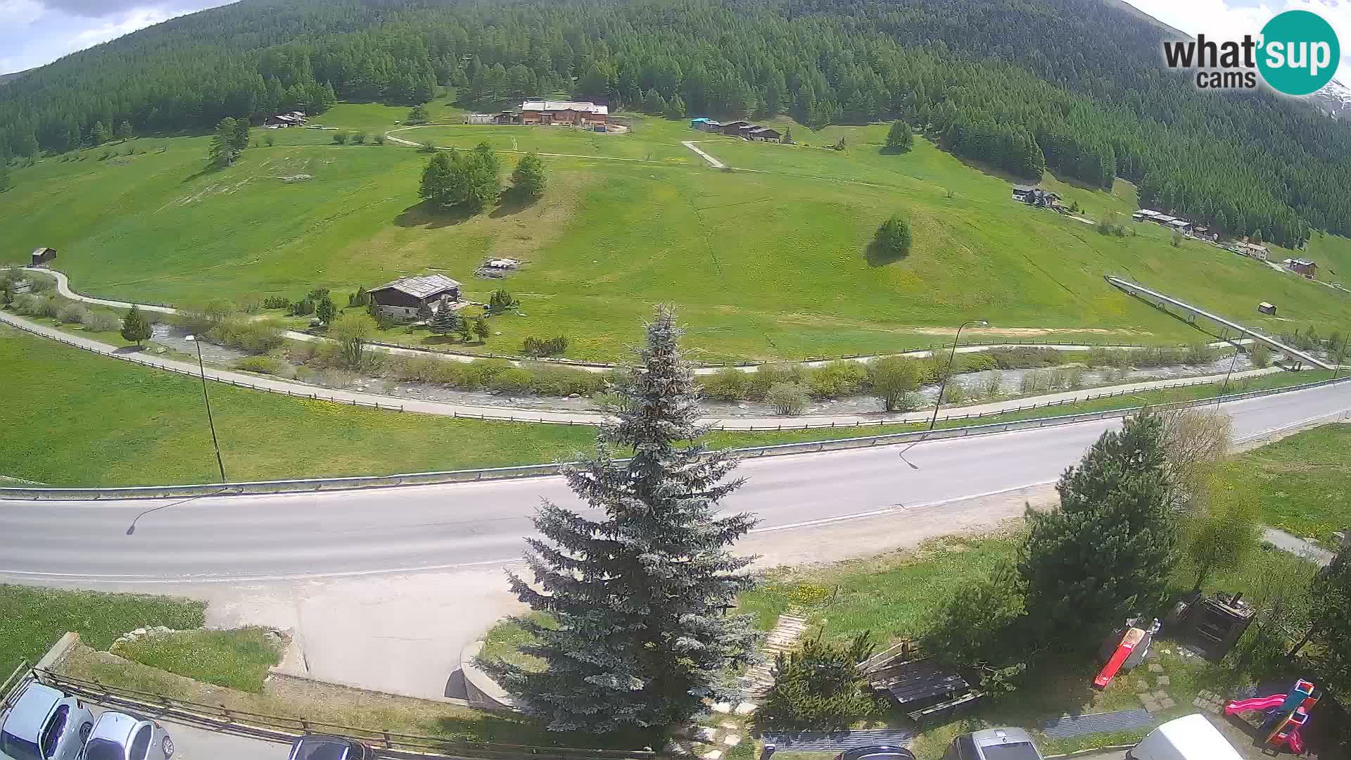 Livigno Cam Hotel Primula | Livigno smučišče