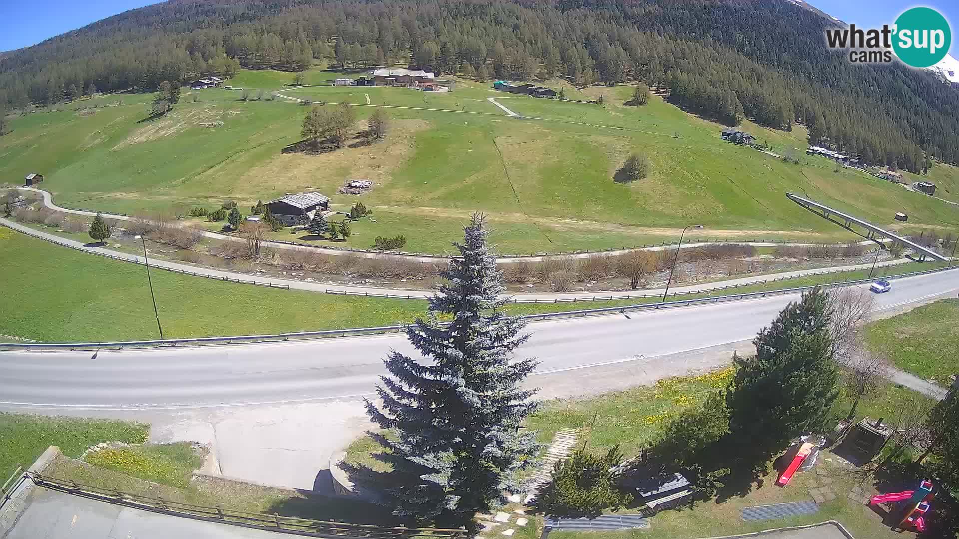 Web Cam Livigno | Hotel Primula