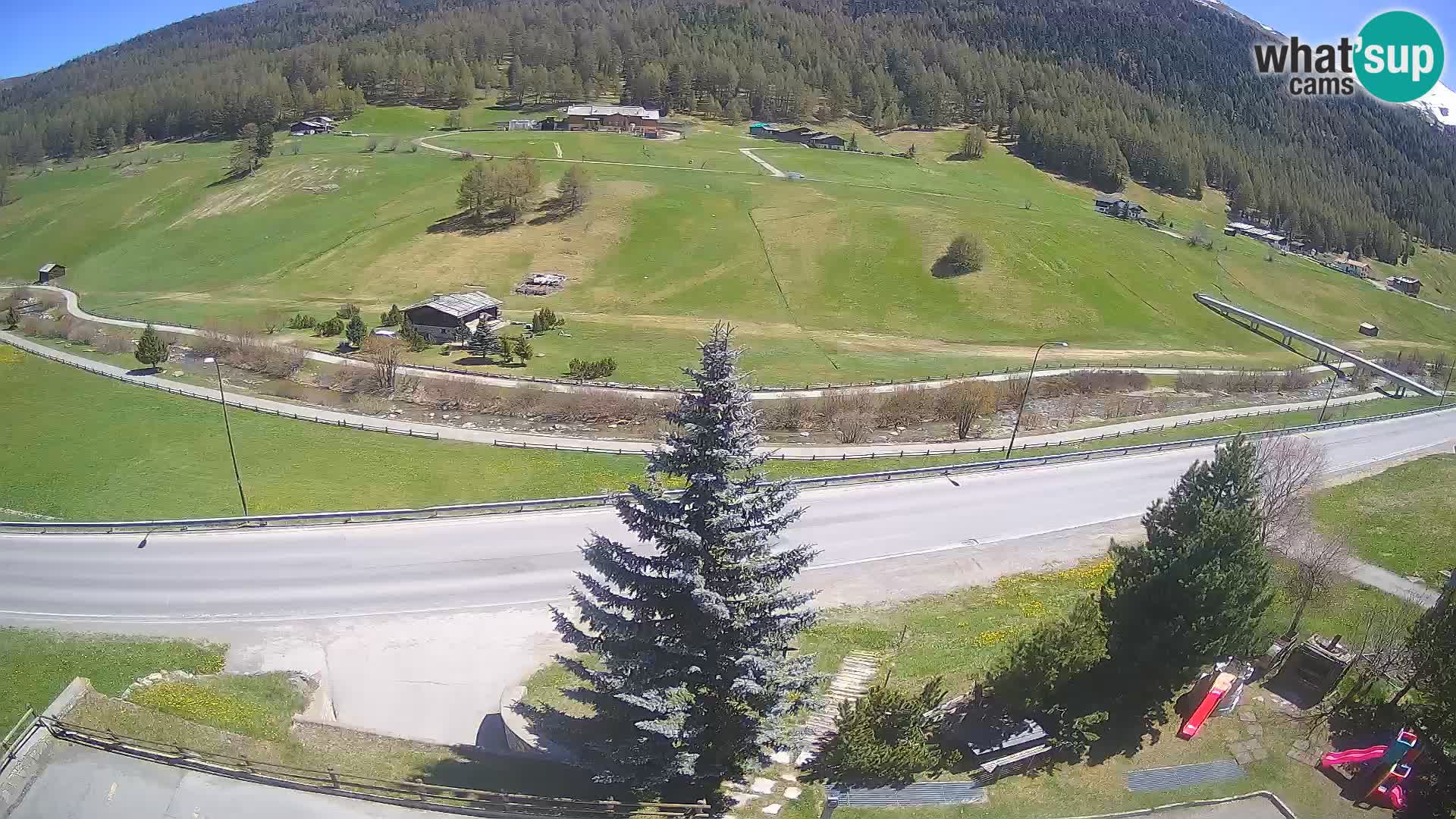 Webcam Livigno Hotel Primula