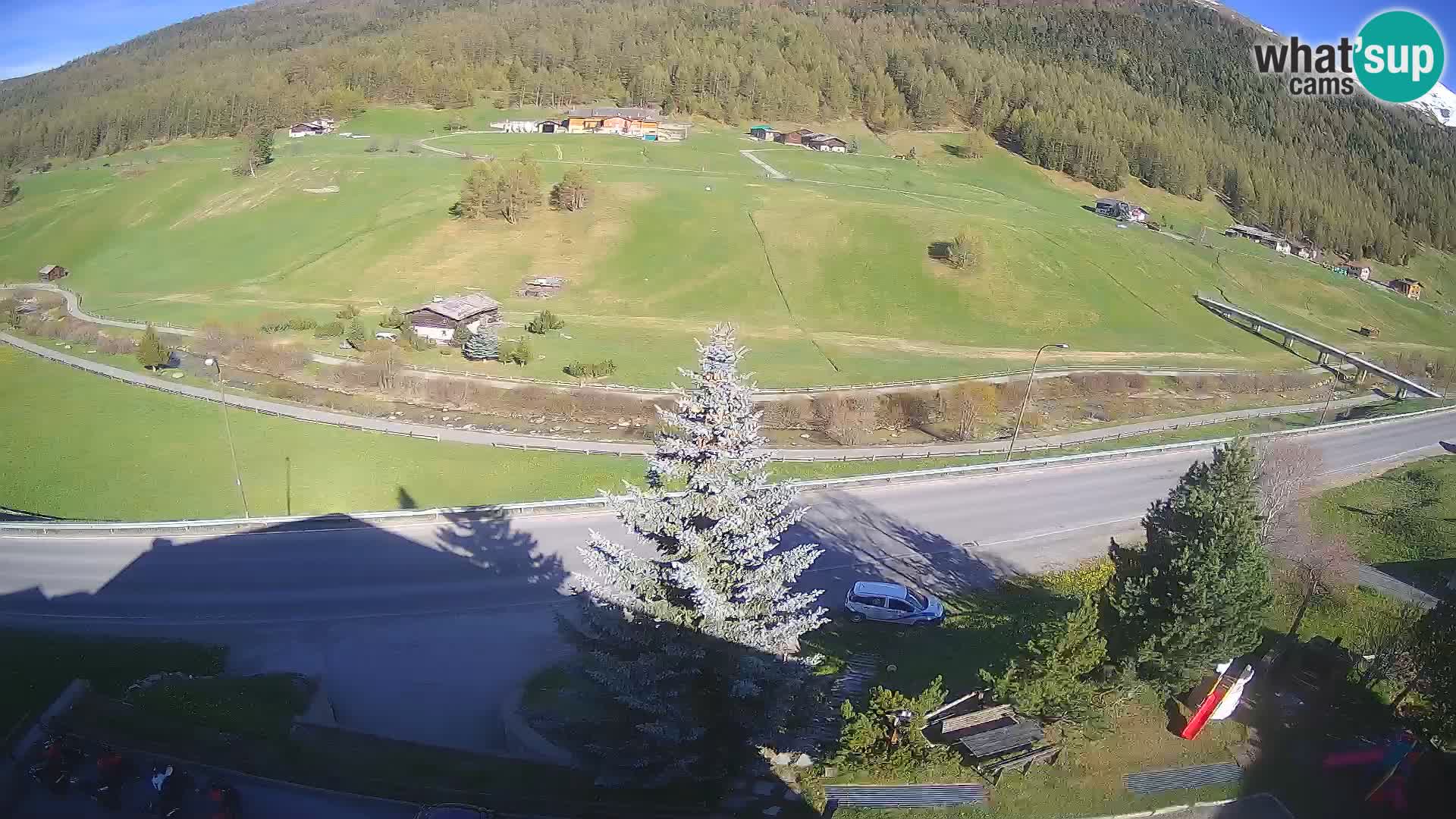 Livigno Cam Hotel Primula | Livigno smučišče