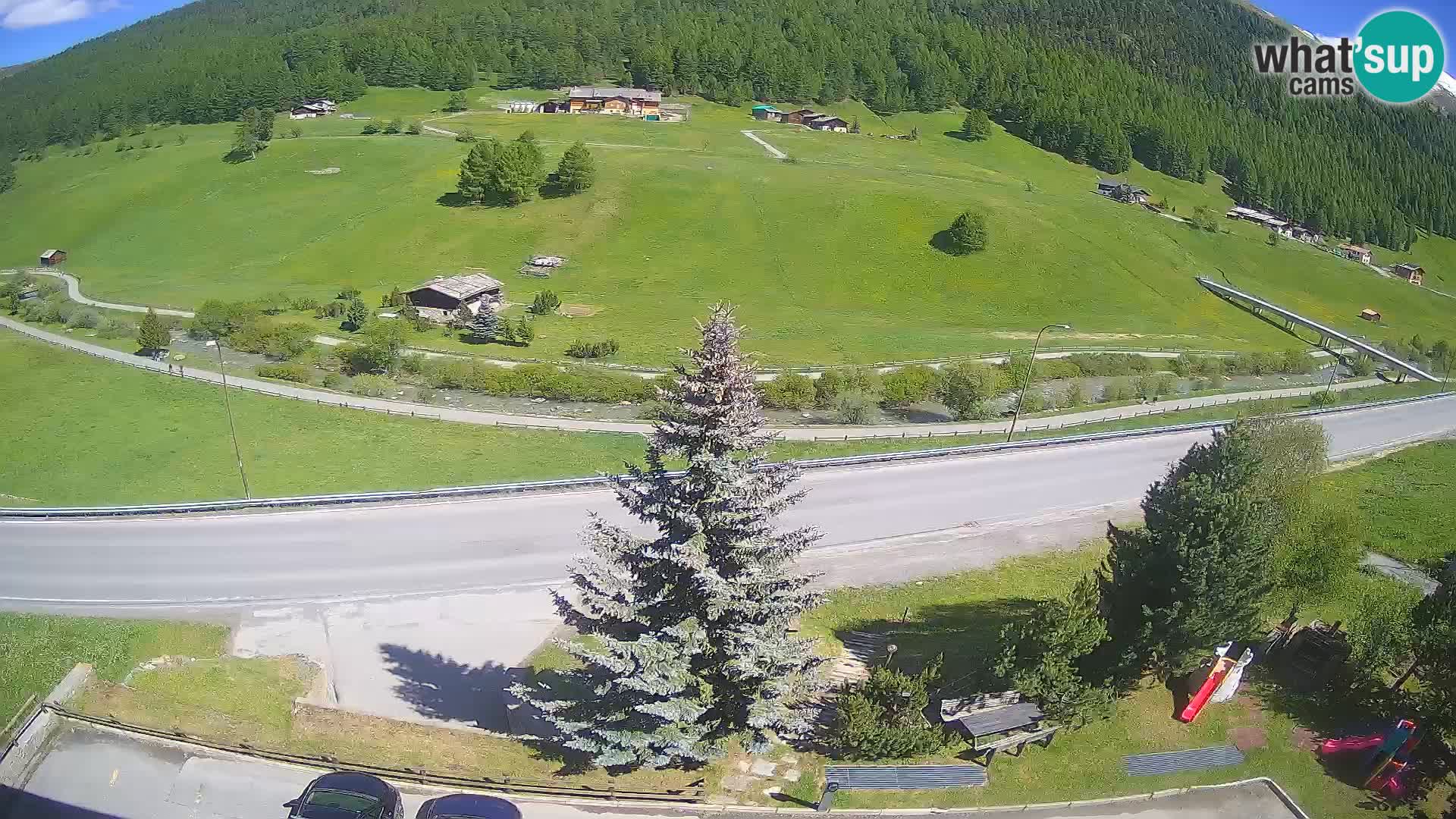 Livigno Cam Hotel Primula | Livigno smučišče