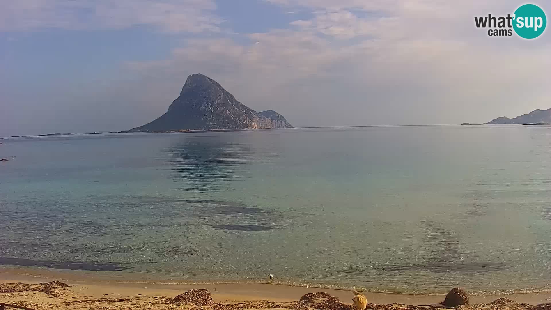 Spletna kamera Loiri porto San Paolo – Porto Taverna v živo Sardinija – Italija