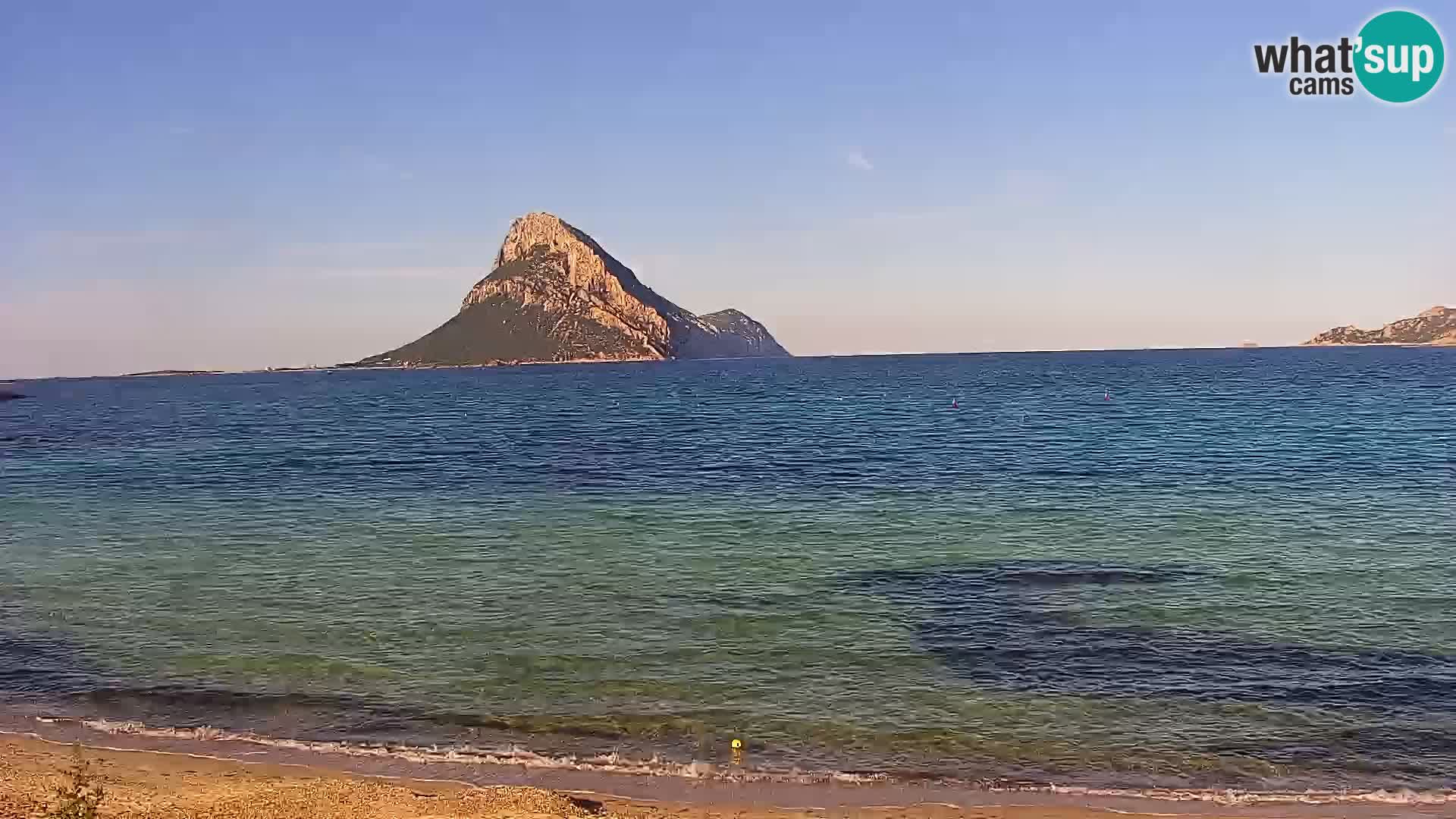 Live Webcam Loiri porto San Paolo – Porto Taverna Livecam Cerdeña – Italia