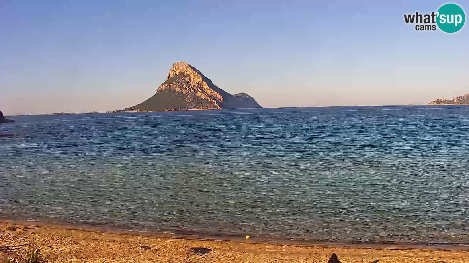 Live Webcam Loiri porto San Paolo – Porto Taverna Livecam Cerdeña – Italia