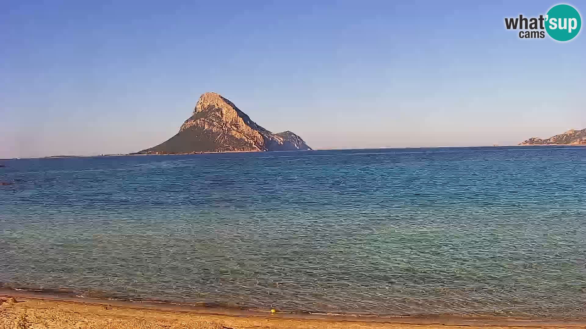 Live Webcam Loiri porto San Paolo – Porto Taverna Livecam Cerdeña – Italia