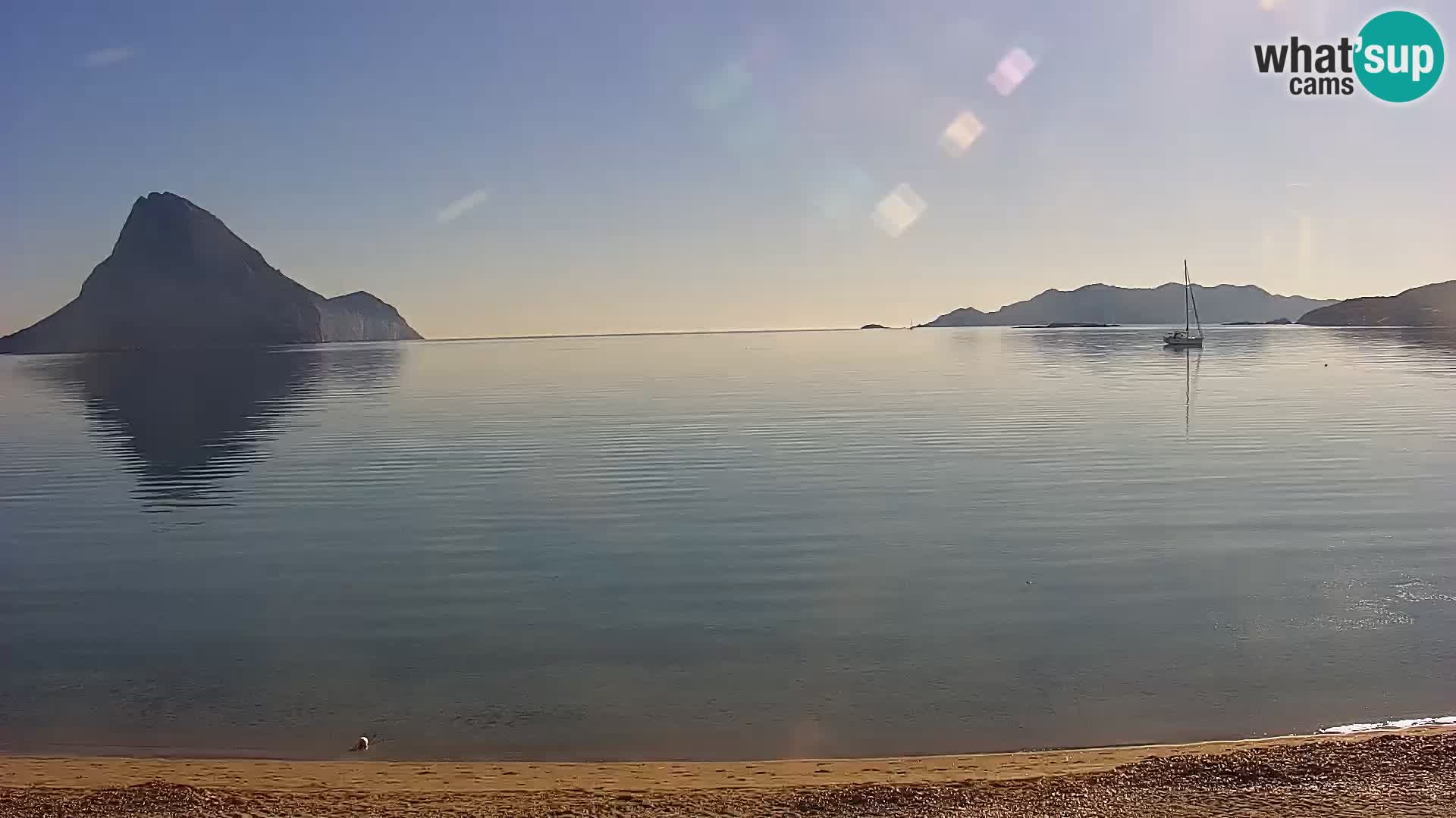 Live Webcam Loiri porto San Paolo – Porto Taverna Livecam Cerdeña – Italia