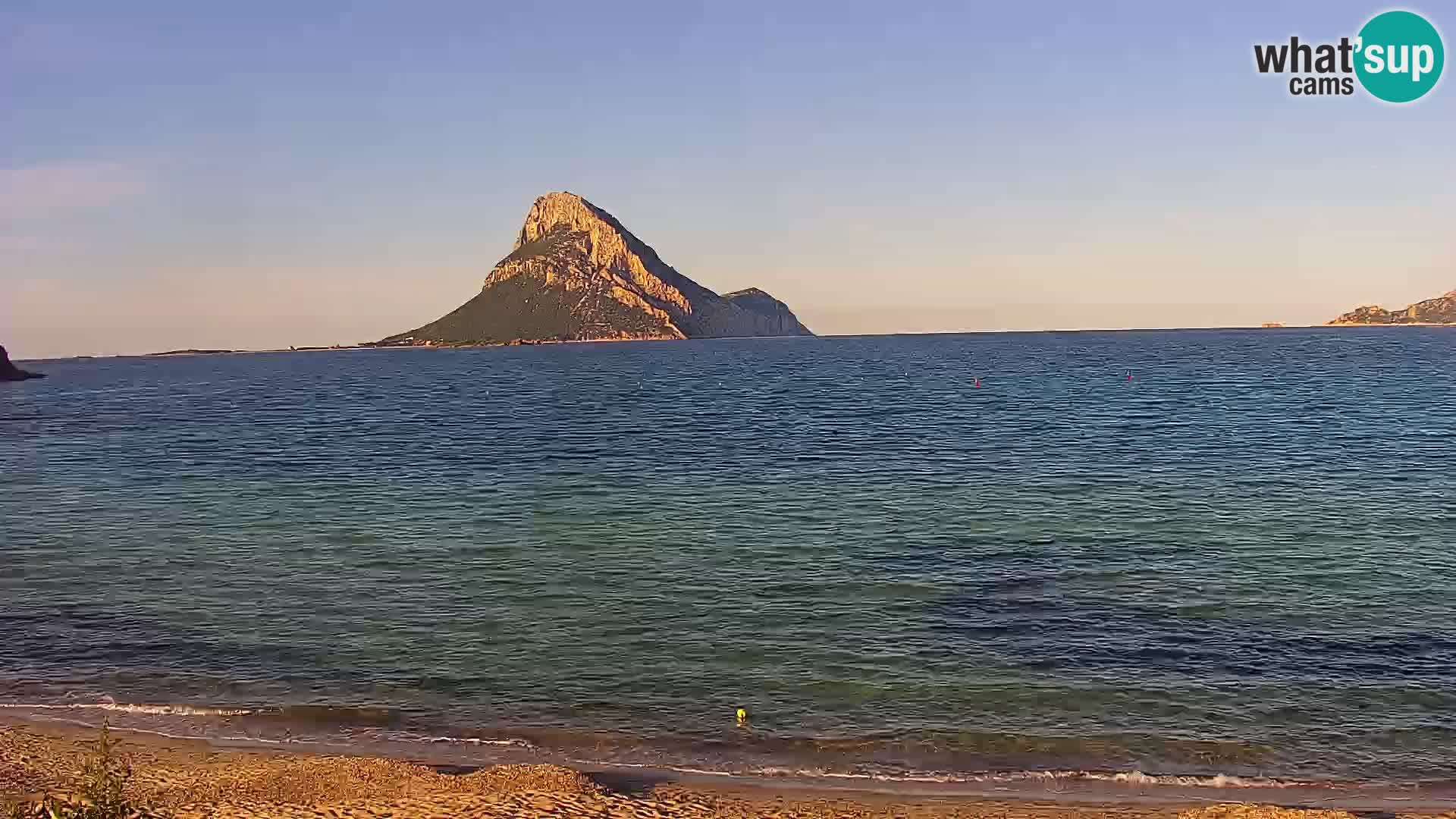 Webcam Porto Taverna – Loiri livecam porto San Paolo – Sardegna – Italia