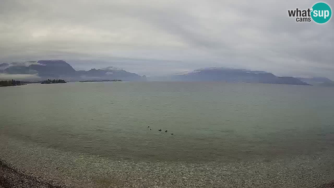 Live webcam lago di Garda – Manerba del Garda – Sup Garda