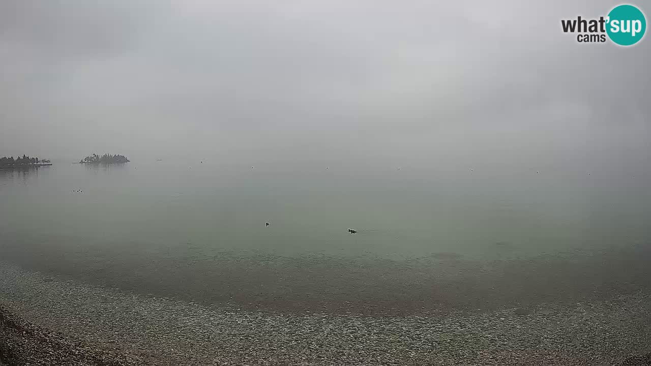 Live webcam Lake Garda – Manerba del Garda – Sup Garda