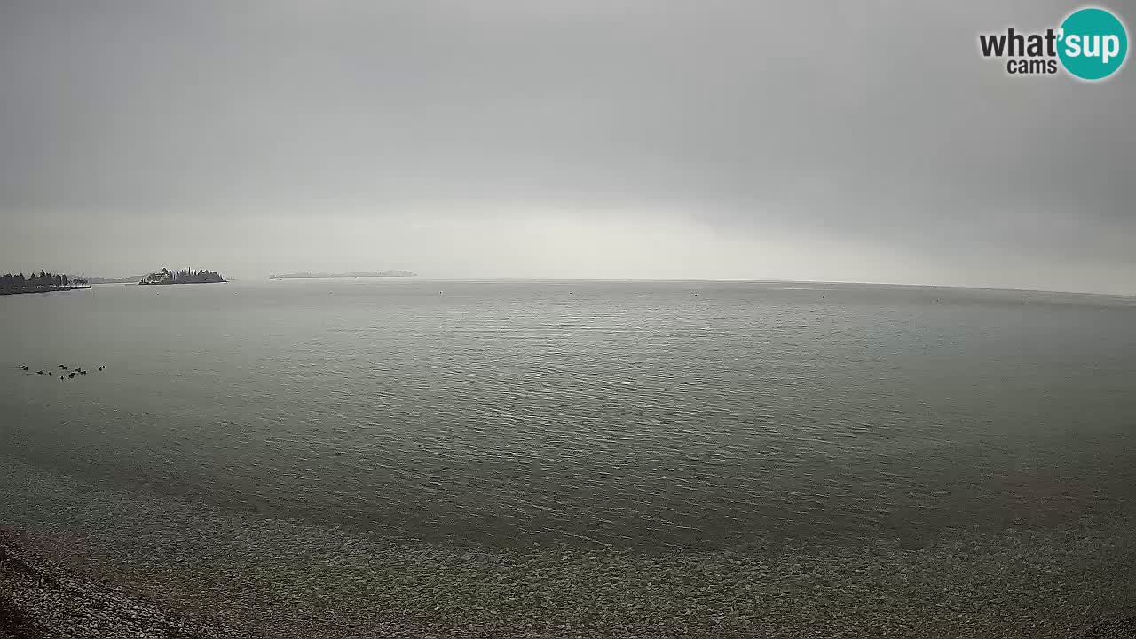 Webcam See Garda – Manerba del Garda – Sup Garda