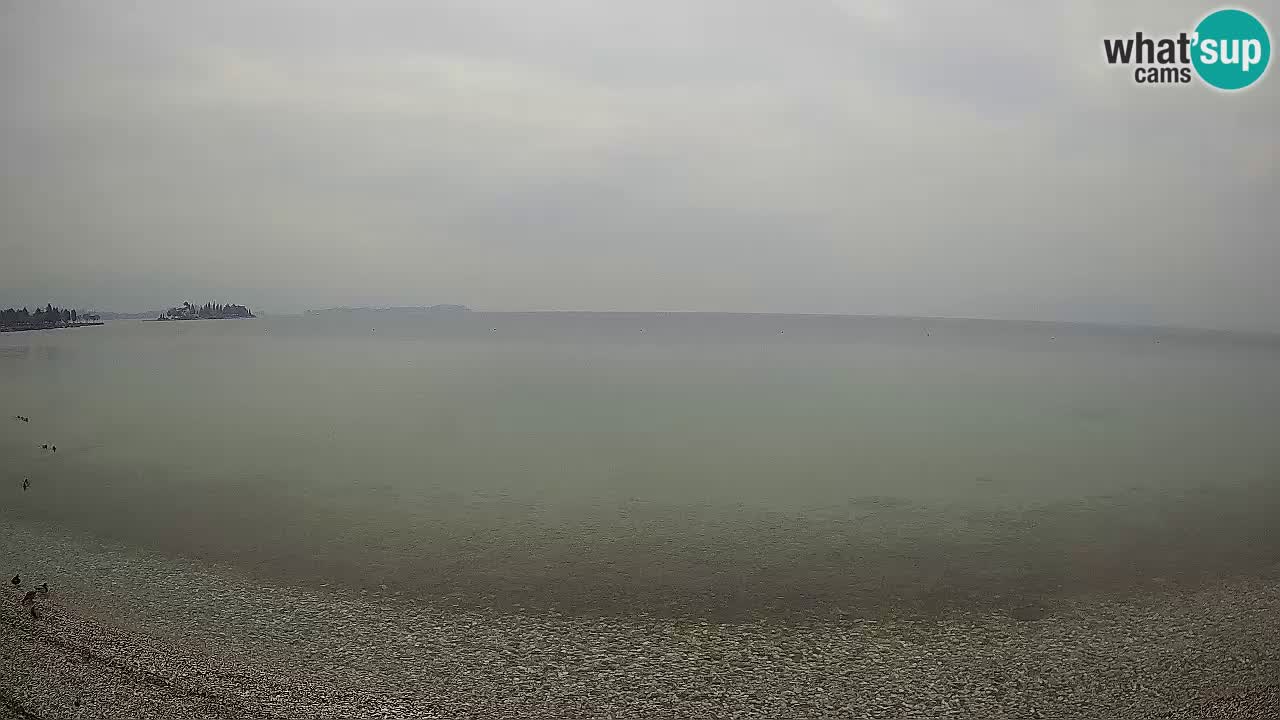 Live webcam lago di Garda – Manerba del Garda – Sup Garda
