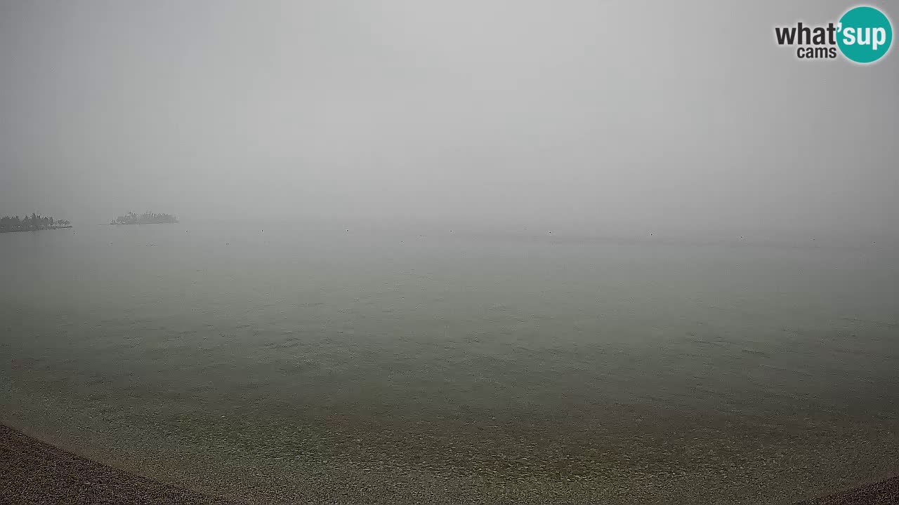 Live webcam lago di Garda – Manerba del Garda – Sup Garda