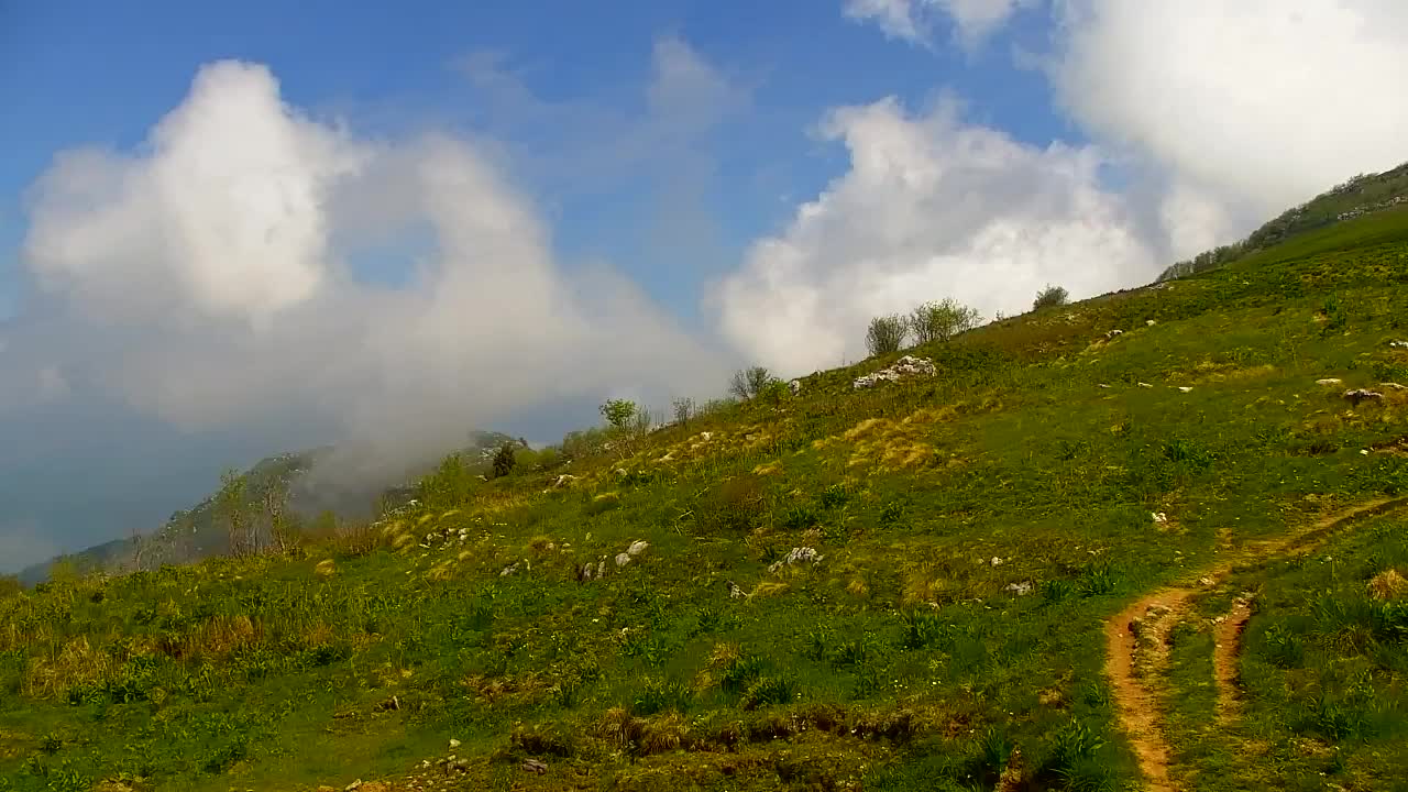 Webcam Matajur | Refugio en Matajur