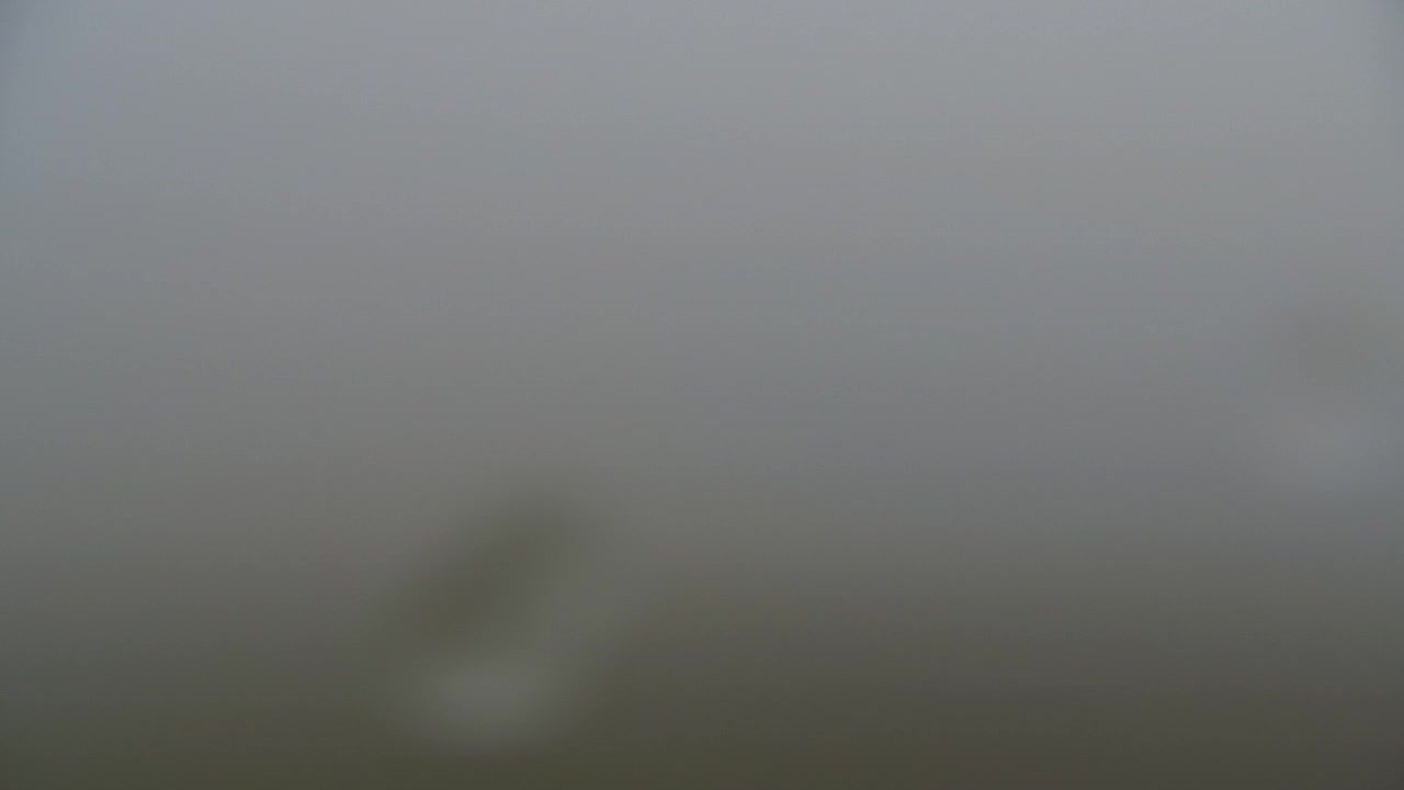 Webcam Matajur | Refugio en Matajur