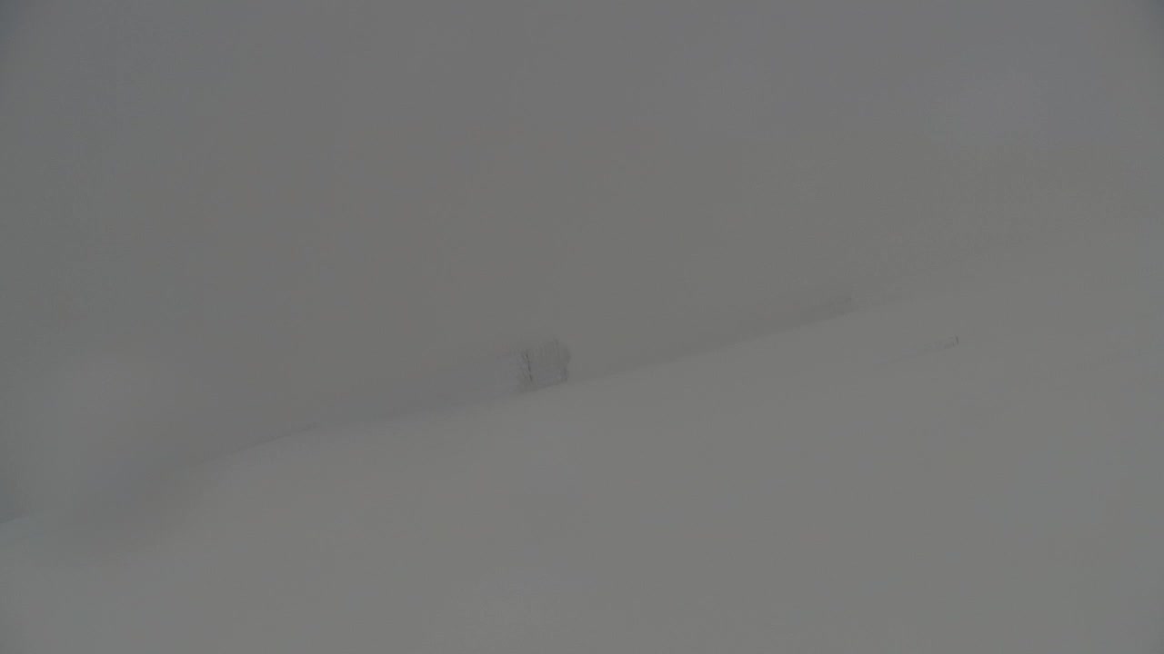 Webcam Matajur | Refugio en Matajur