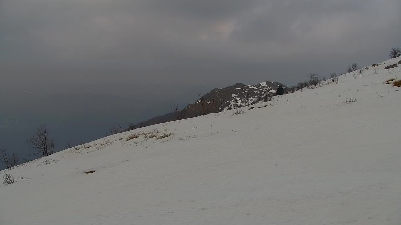 Webcam Matajur | Refugio en Matajur