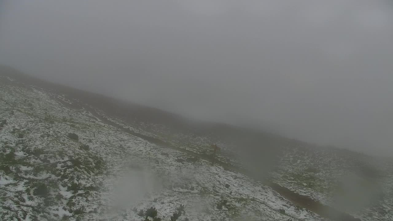 Livecam Matajur | Refuge du Matajure