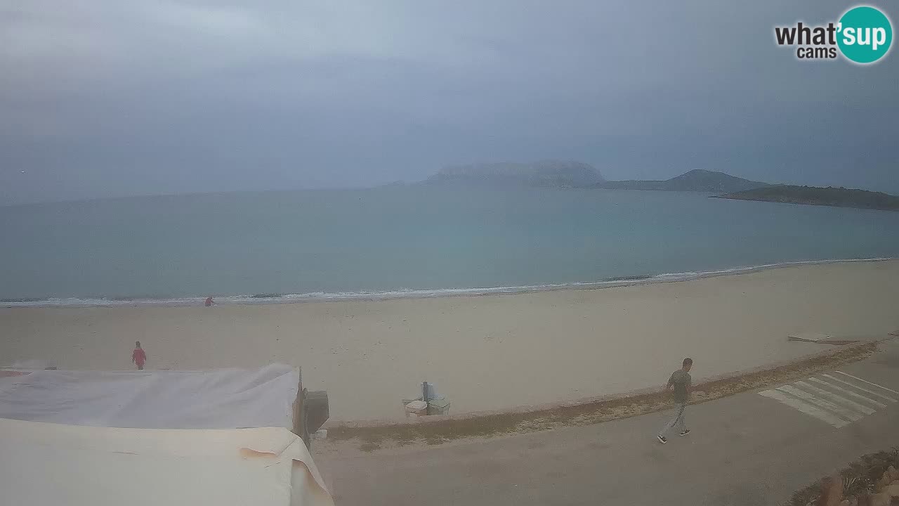 La spiaggia di Pittulongu live webcam Olbia – Sardegna