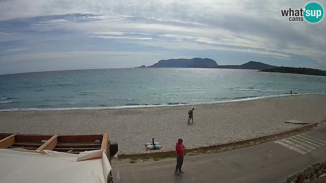 La spiaggia di Pittulongu live webcam Olbia – Sardegna
