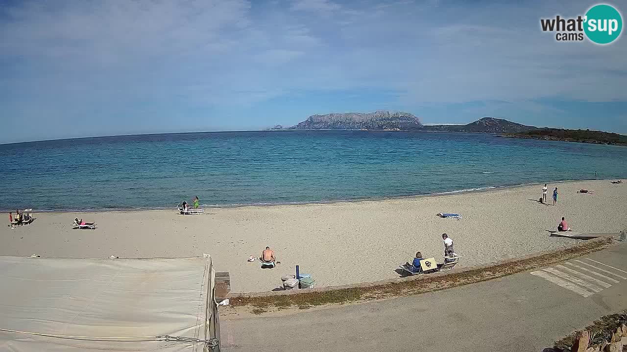 La plage de Pittulongu en direct webcam Olbia – Sardaigne – Italie