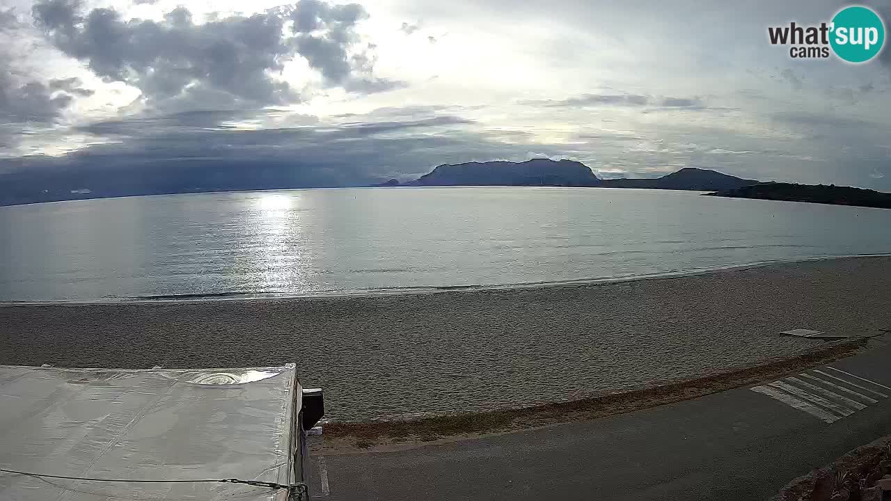 Der Strand von Pittulongu Live-Webcam Olbia – Sardinien – Italien