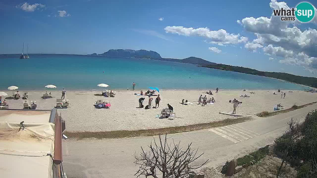 The beach of Pittulongu live webcam Olbia – Sardinia – Italy