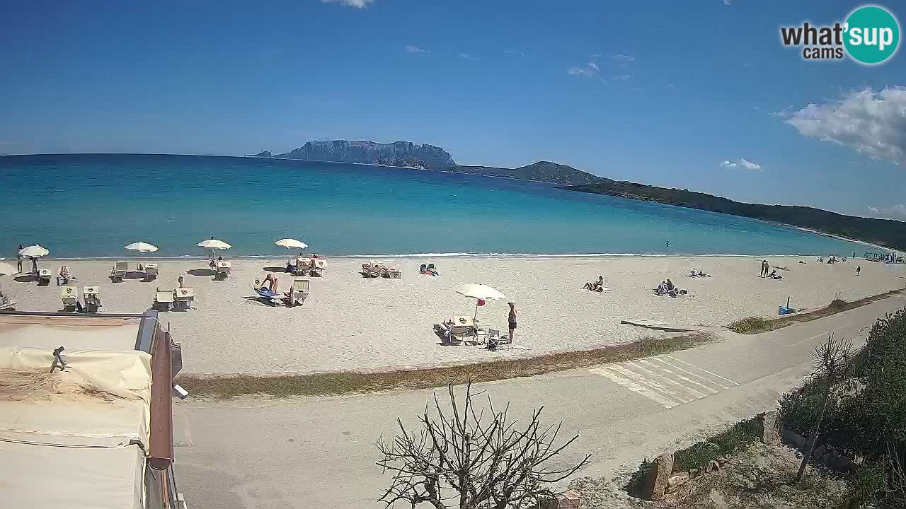 Der Strand von Pittulongu Live-Webcam Olbia – Sardinien – Italien