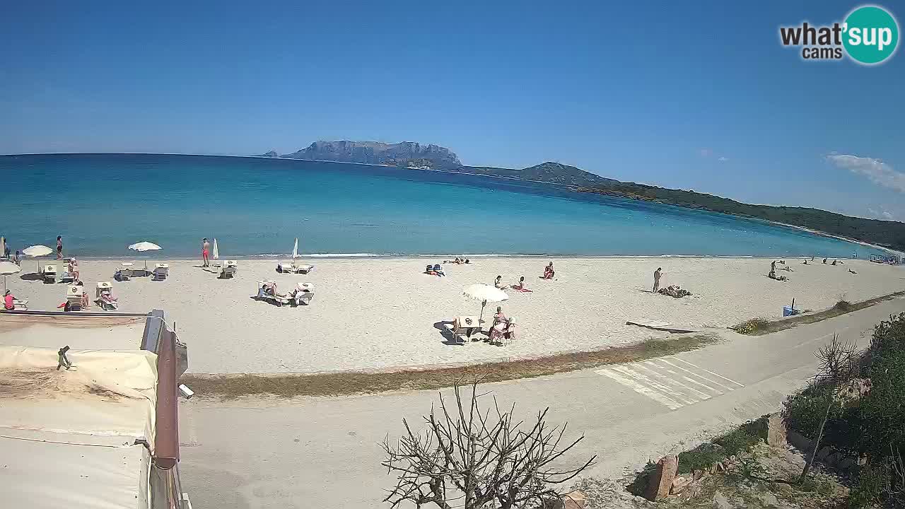 Plaža Pittulongu uživo web kamera Olbia – Sardinija – Italija