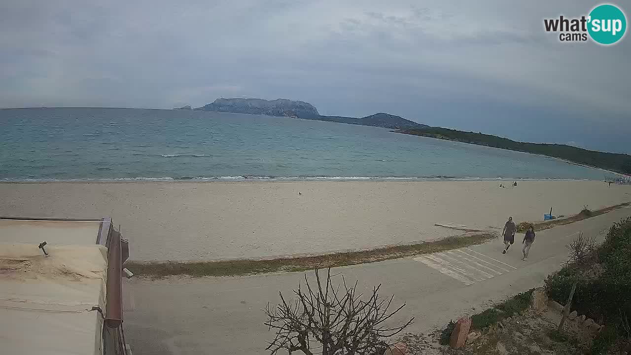 La playa de Pittulongu webcam en vivo Olbia – Cerdeña – Italia