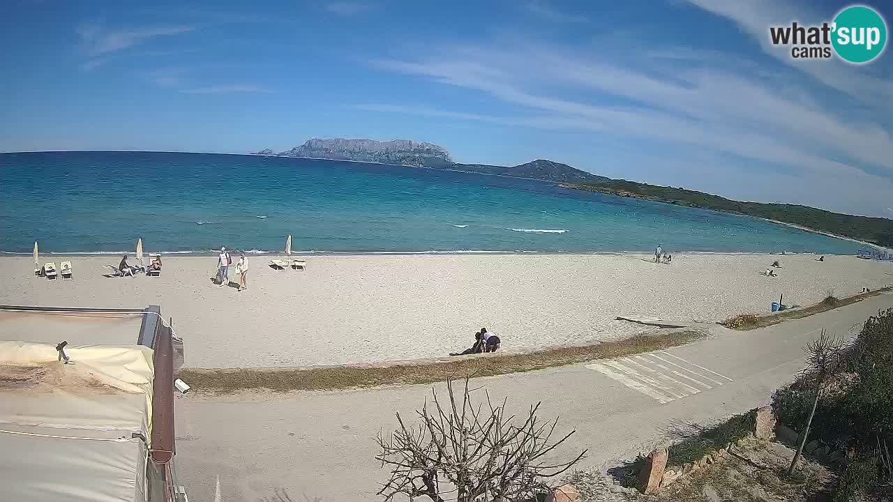Der Strand von Pittulongu Live-Webcam Olbia – Sardinien – Italien