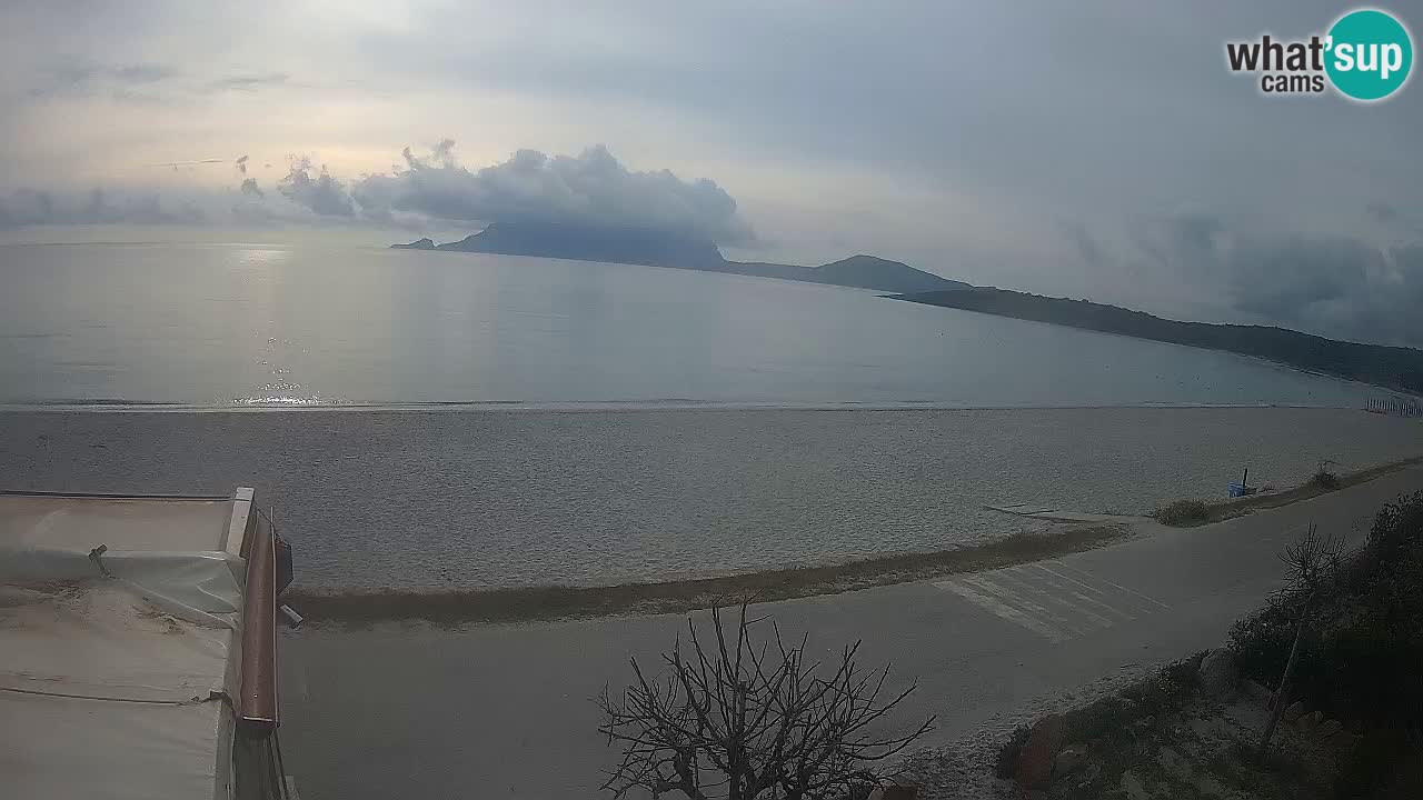 The beach of Pittulongu live webcam Olbia – Sardinia – Italy