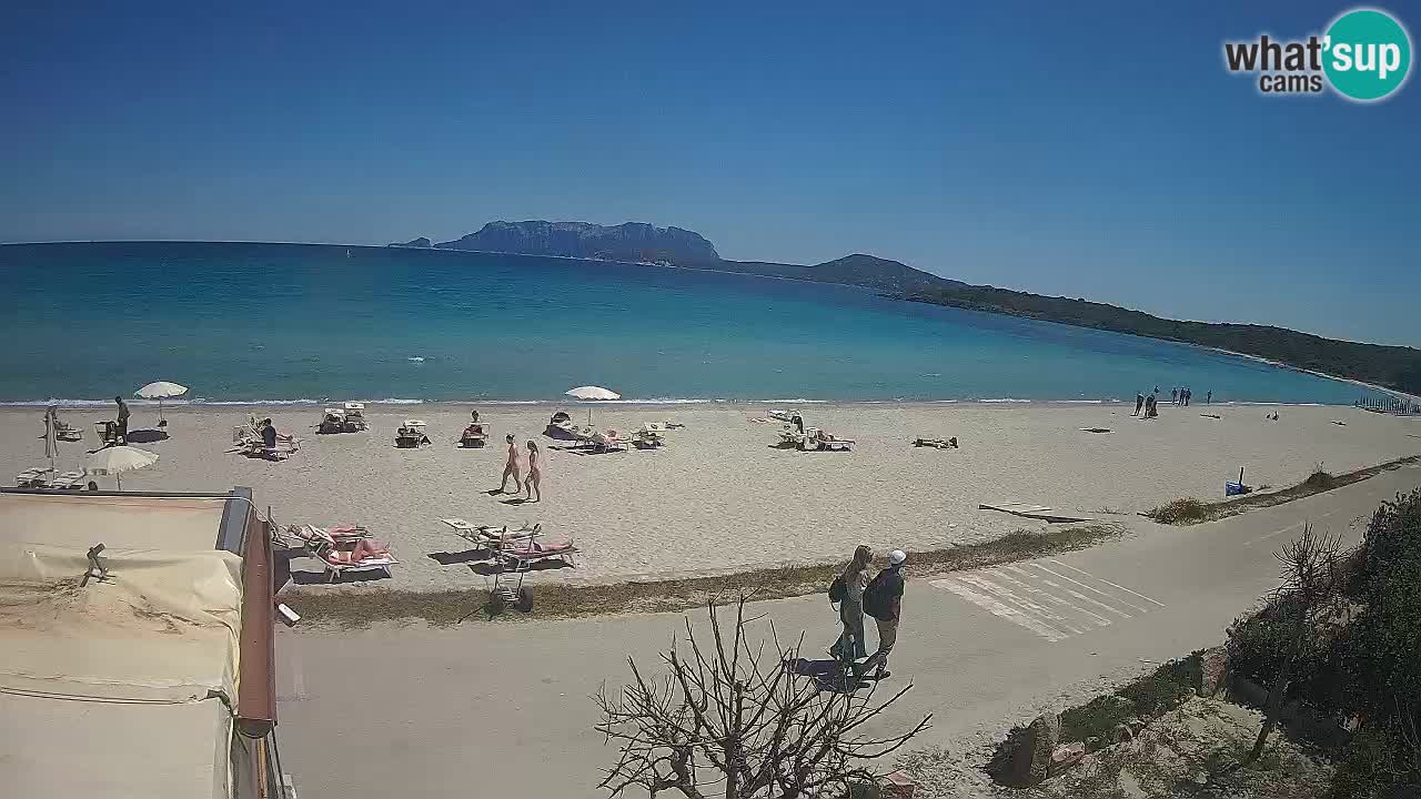 La plage de Pittulongu en direct webcam Olbia – Sardaigne – Italie
