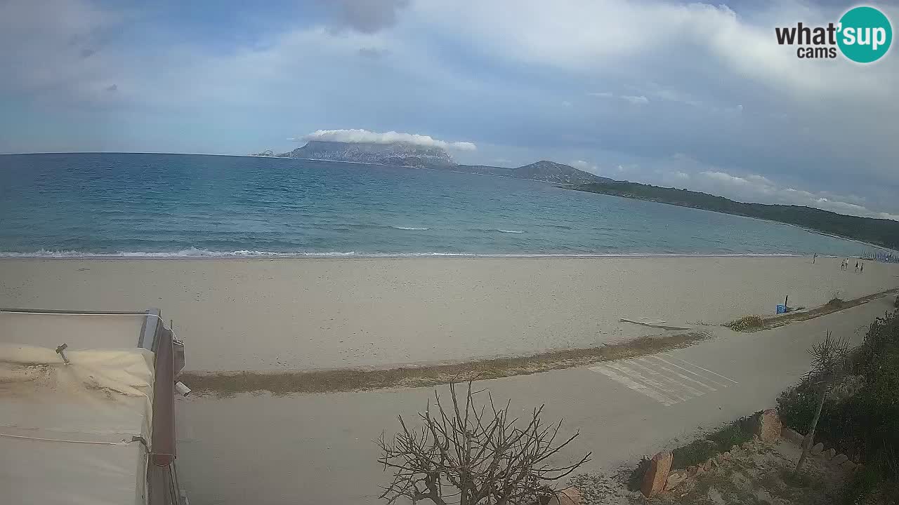 La plage de Pittulongu en direct webcam Olbia – Sardaigne – Italie