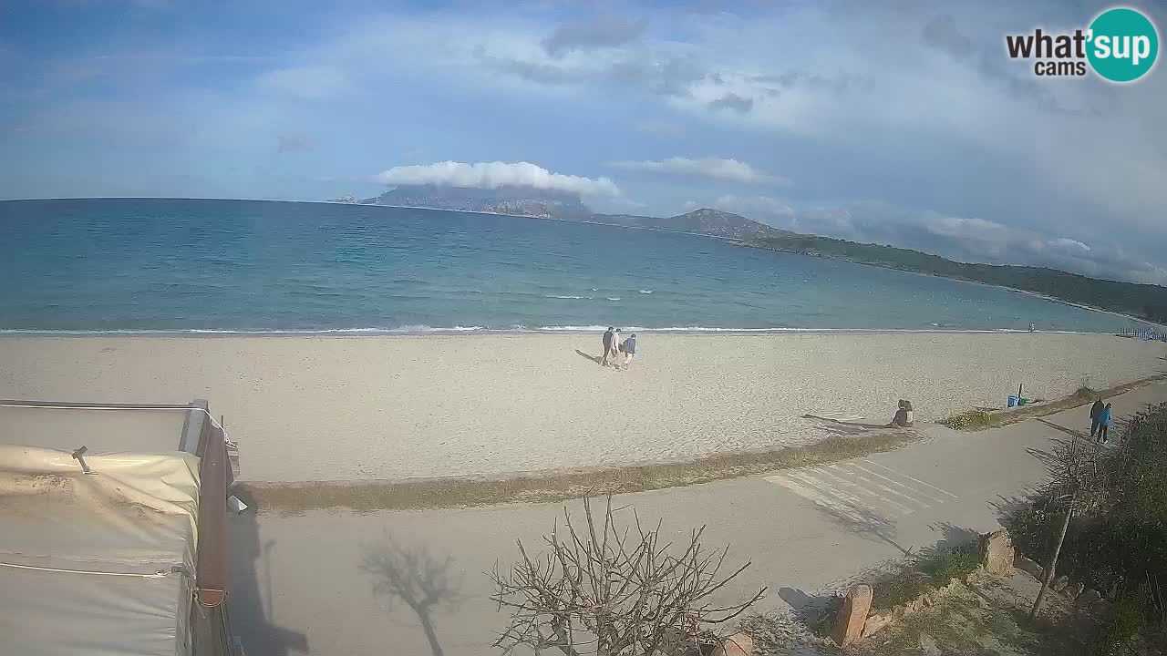 Der Strand von Pittulongu Live-Webcam Olbia – Sardinien – Italien