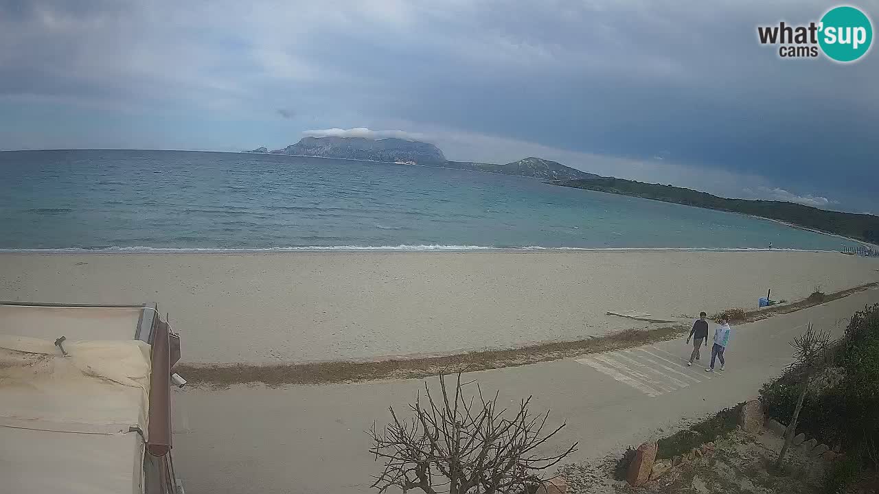 The beach of Pittulongu live webcam Olbia – Sardinia – Italy