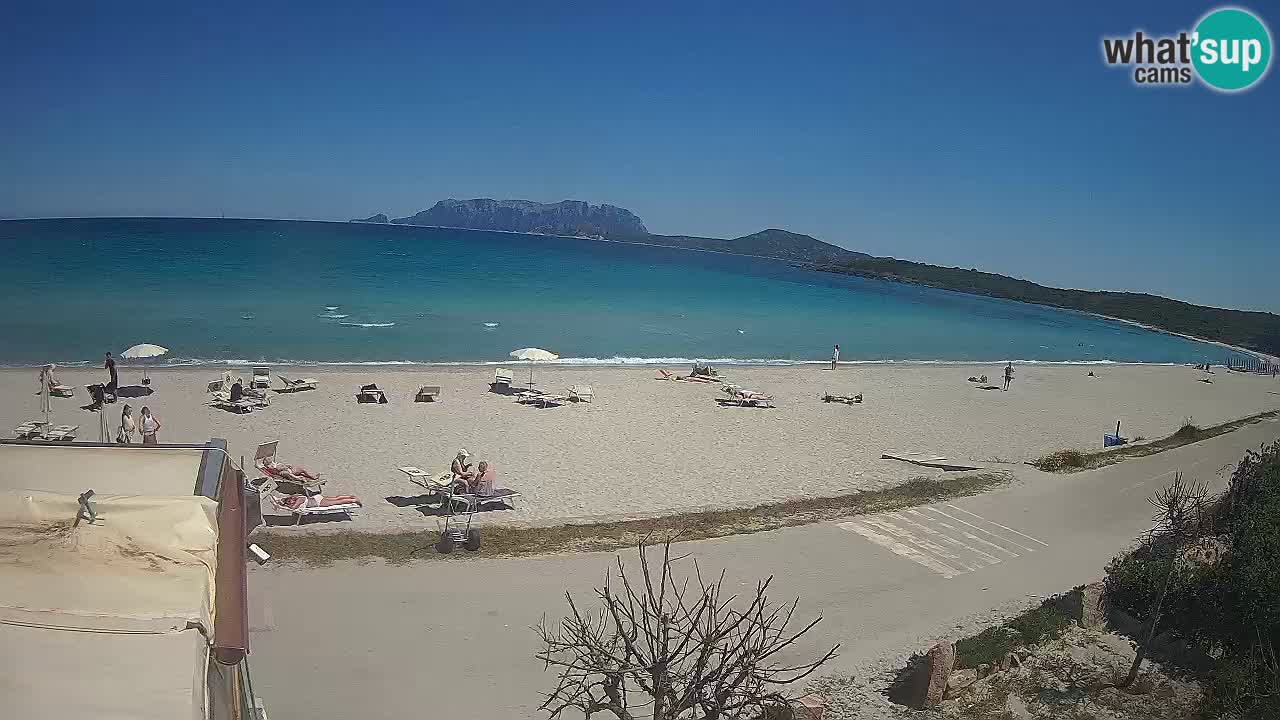 The beach of Pittulongu live webcam Olbia – Sardinia – Italy