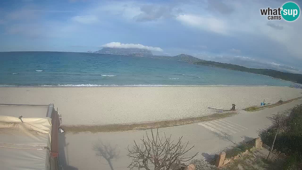 The beach of Pittulongu live webcam Olbia – Sardinia – Italy