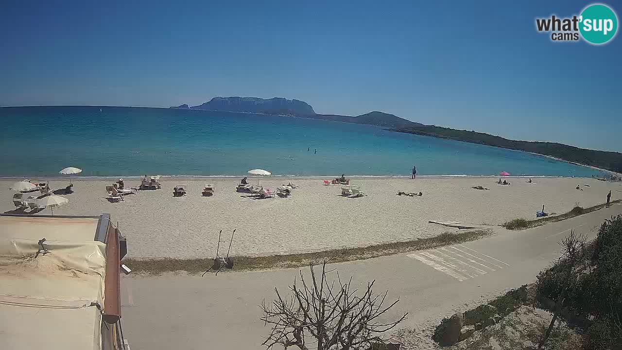 The beach of Pittulongu live webcam Olbia – Sardinia – Italy