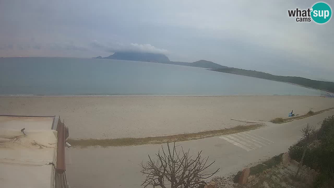 Plaža Pittulongu uživo web kamera Olbia – Sardinija – Italija
