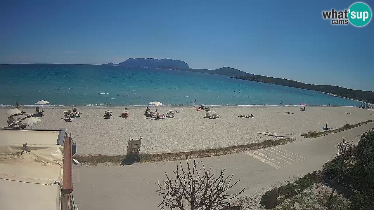 Der Strand von Pittulongu Live-Webcam Olbia – Sardinien – Italien