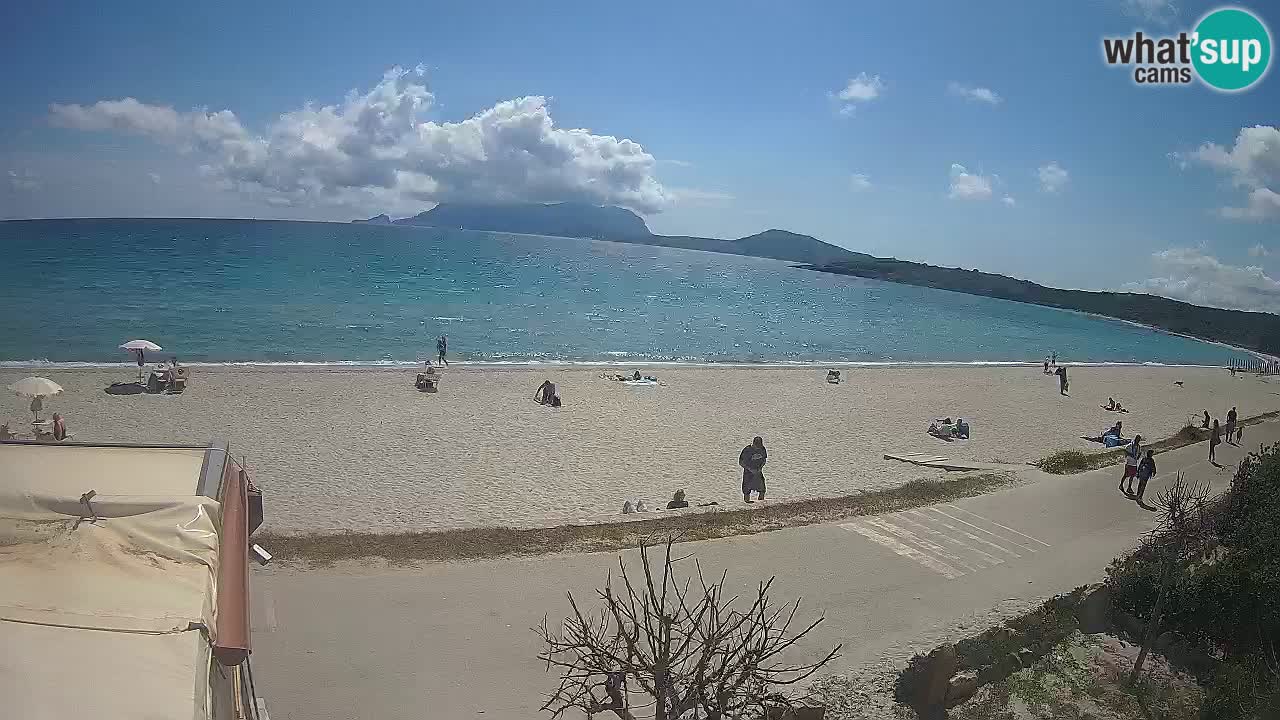 The beach of Pittulongu live webcam Olbia – Sardinia – Italy