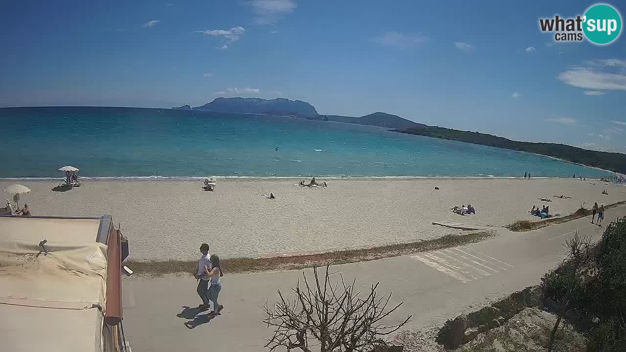 The beach of Pittulongu live webcam Olbia – Sardinia – Italy